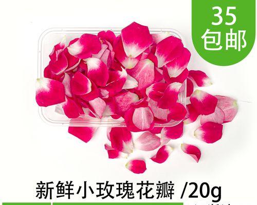 玫瑰花瓣的美丽与寓意（探寻玫瑰花瓣的深层含义）