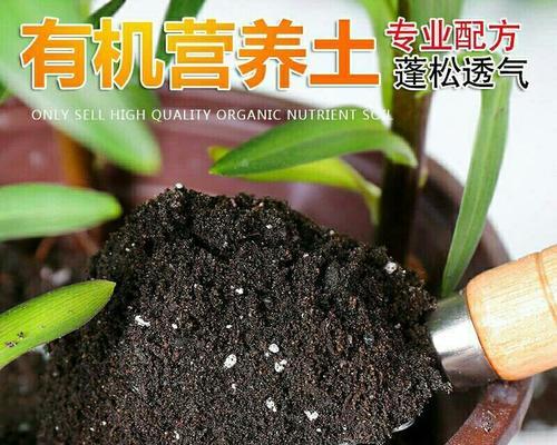 青土适宜种植的植物种类及特点（了解青土的性质）