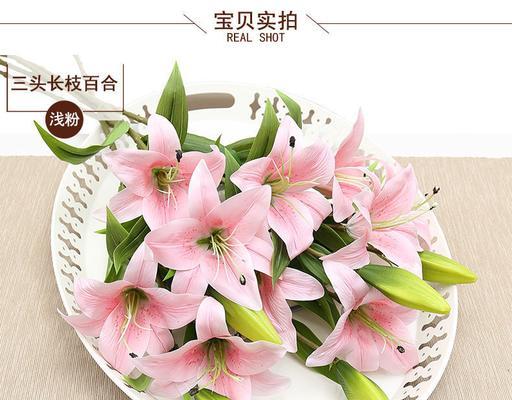 送白百合花的寓意与象征意义（纯洁）