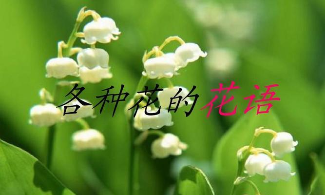 自私的花语世界（以什么花的花语代表自私）