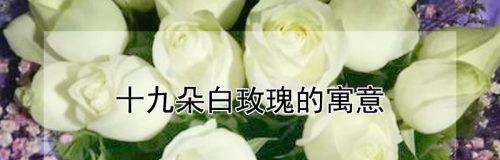 19朵玫瑰花的花语（19朵玫瑰花的美丽传说与含义）