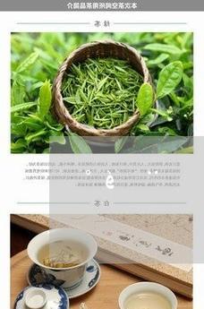 白茶花的花语——纯洁与温柔（揭秘白茶花的美丽心语与寓意）