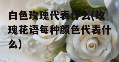 白玫瑰花语的含义及象征（探索白玫瑰花所代表的爱情）