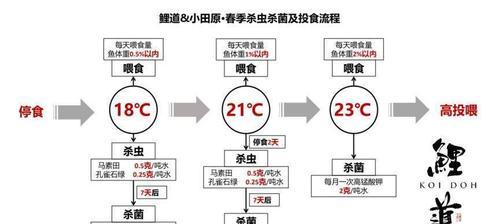 大白菜黄叶病的预防与治疗（探究病因并制定有效的防治措施）