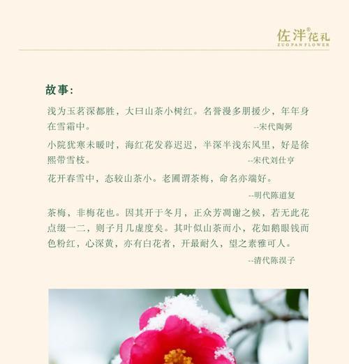 茶梅的开花时间是什么时候？如何促进花期？