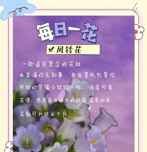 七彩风铃花的花语有何象征意义？